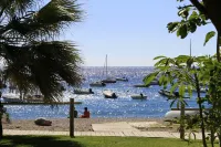 Comeback Hotel California Hotels in Calahonda