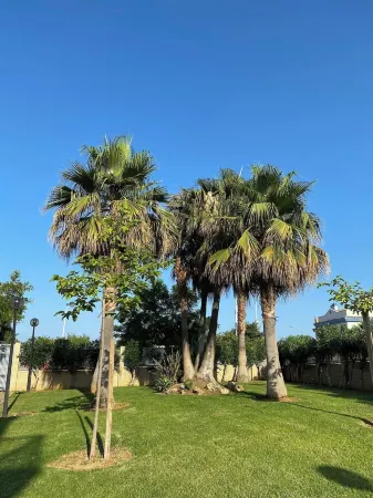 Relax in front of the sea: our first floor with a view