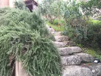 The sea the scrub the silence Hotels in Coti-Chiavari