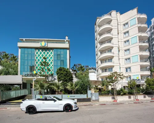Citrus Luna Suite Hotel - Ramah Hewan Peliharaan