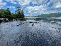 All-Season Lake Pauline Retreat, 2 mi to Okemo