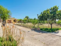 Sa Raconada - Country House In Algaida. Free Wifi 阿爾蓋達酒店