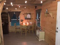 Off Grid Cabin In The Woods.