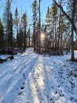 Cabin Tucked into the Woods! Trail Access for Atv/Utv & Snowmobiles.