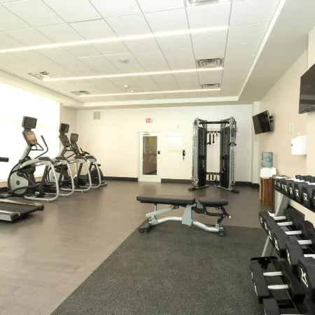 Holiday Inn & Suites DETROIT - TROY by IHG