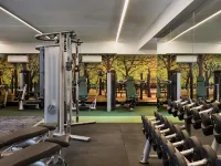 Sofitel Wellington - Gym