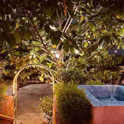 The Alphonso Mango County Fitness & Recreational Facilities