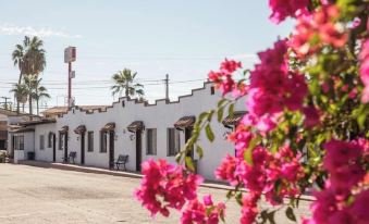Hotel Casa Petri