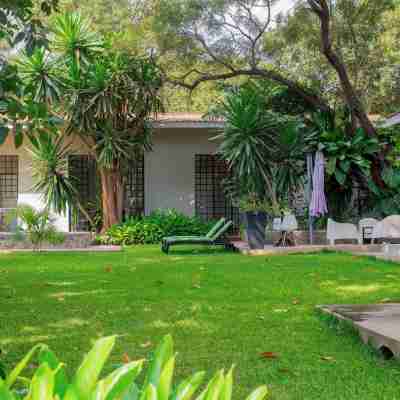 Mitengo House Hotel Exterior