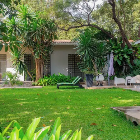 Mitengo House