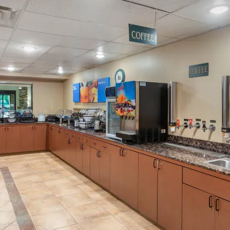 Comfort Inn & Suites Branson Meadows