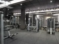 Premier Luxury Mountain Resort - Gym