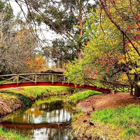 Cherry Tree Studio in Bowral
