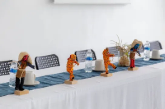 Hotel Alcázar de Luna Hotels in Chilpancingo