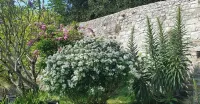 Gîte Cosy et Calme, Avec spa et Jardin, au Cœur de Morlaix