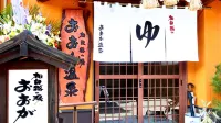 Hitoyoshi Onsen Oga No Yado - 2-Sterne