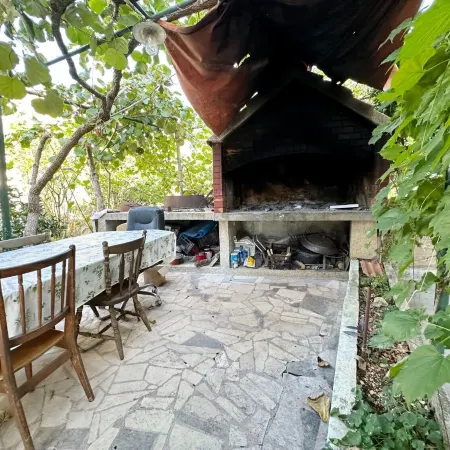 Apartments Tereza