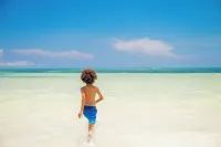 Moja Private Beachfront Suite, Amani Home Zanzibar - Airport Shuttle