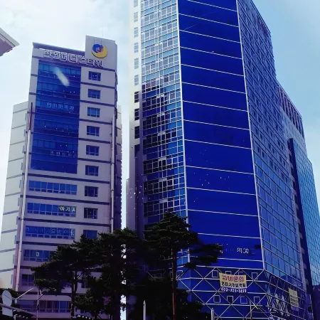 DG HOUSE