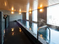 Hotel Ole Inn - Hot Springs