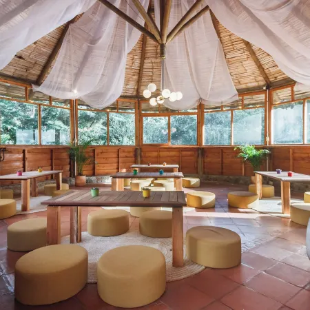 Olimpo Interior
