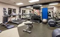 Hilton Garden Inn Chicago O'Hare Airport - Gym