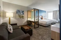 SpringHill Suites Minneapolis Maple Grove/Arbor Lakes - Pool