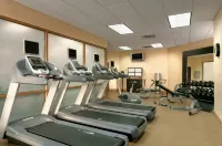 Embassy Suites by Hilton Chicago North Shore Deerfield - Gym