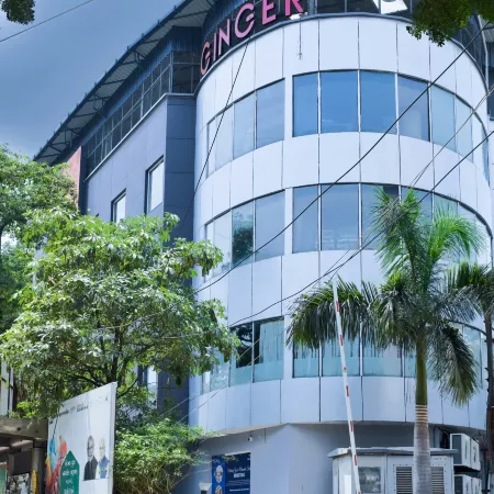 Ginger Vadodara Rcr