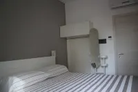 B&B Lasso - Camelia103