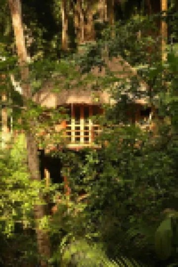 Aldea Bamboo Hoteles en 