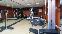 Holiday Inn Express & Suites MORGAN CITY - TIGER ISLAND by IHG - Gym
