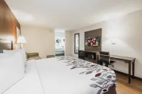 레드 루프 인 월터버러