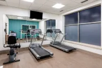 Holiday Inn Express & Suites MINNEAPOLIS-DWTN (CONV CTR) by IHG - Gym