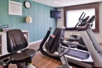 Holiday Inn Express & Suites ELGIN by IHG - Gym