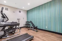 Holiday Inn Express & Suites VAN BUREN-FT SMITH AREA by IHG - Gym