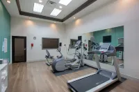 Holiday Inn Express & Suites COLUMBUS by IHG - Gym