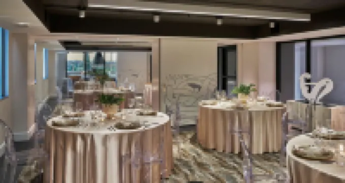 華盛頓DC澤納酒店