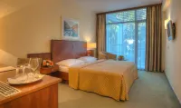 Hotel Rivijera Hotels in Petrovac
