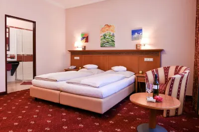 Hotel Alexandra Hotel di Wels-Land District