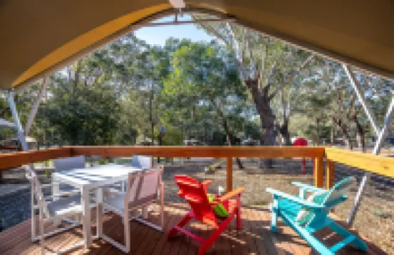 Port Stephens Koala Sanctuary