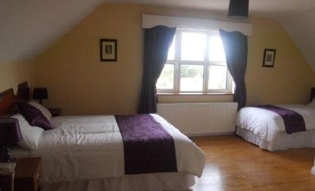 Ashville Guesthouse - Housity