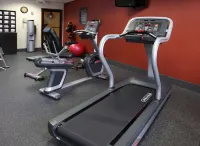 Hampton Inn Richmond-North/Ashland - Gym