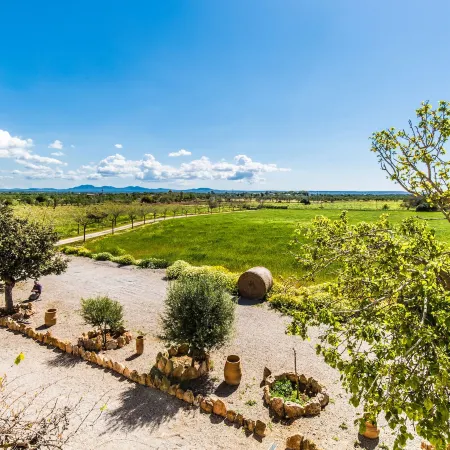 Finca Agroturismo Sa Cova Den Borino