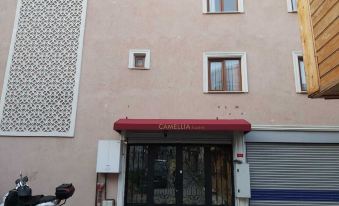 Camellia Hostel
