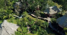 Cotton Tree Lodge