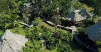 Cotton Tree Lodge Hotels in 