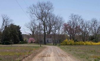 Heaven Scent Bed & Breakfast