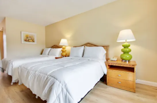 Rotex Western Inn Hotels near Los Angeles County Museum of Art