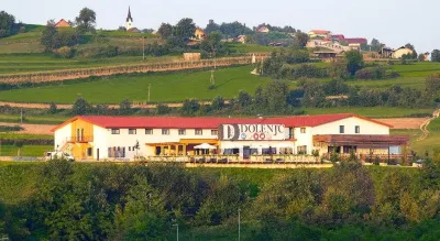 Hotel Dolenjc Hotels in Otočec